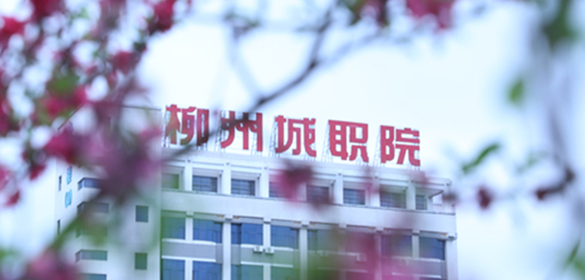 柳州城市职业学院