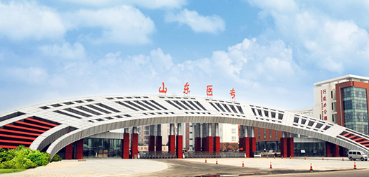 山东医学高等专科学校